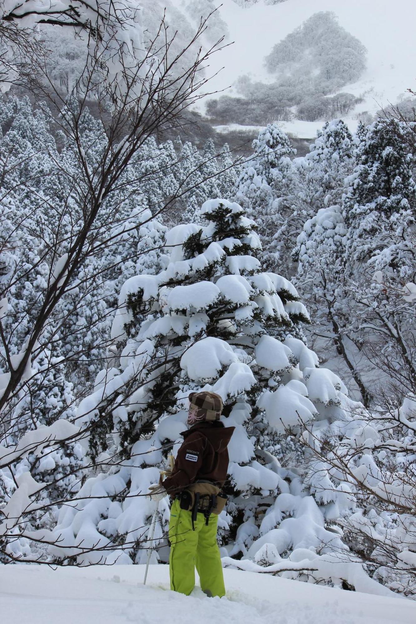 Shukubo Kansho-In Temple Sanrakuso Daisen  Extérieur photo