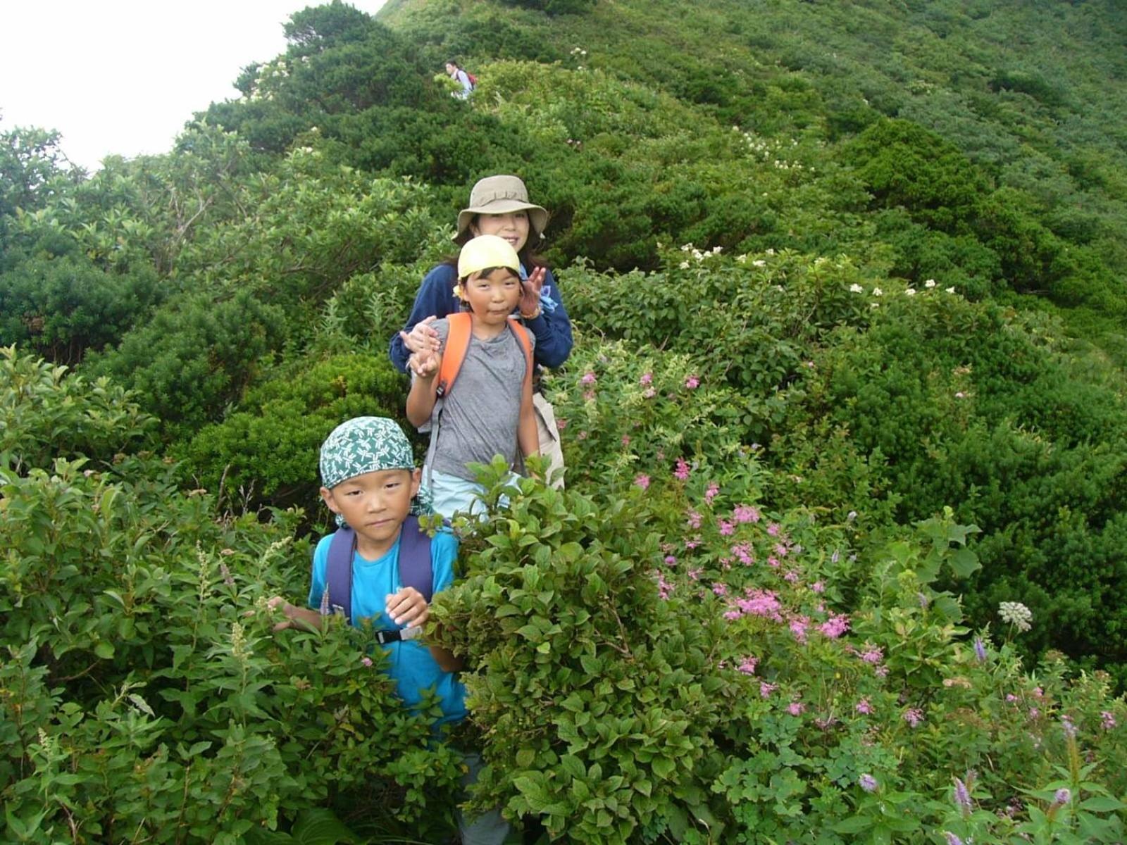 Shukubo Kansho-In Temple Sanrakuso Daisen  Extérieur photo